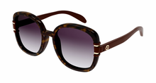 Load image into Gallery viewer, Gucci
